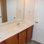 Amberly Village Apartment Washroom