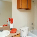 Gateway Place Apartment Bath Room