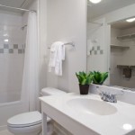 Parkside at Firewheel Apartment Bathroom