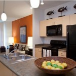 Parkside at Firewheel Apartment Kitchen.