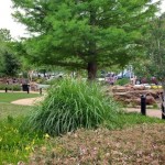 Parkside at Firewheel Apartments Garden
