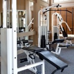 Stoneleigh on Spring Creek Apartment Fitness Center