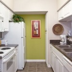 Stoneleigh on Spring Creek Apartment Kitchen
